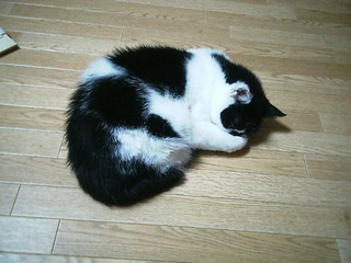 PIC_0004.JPG